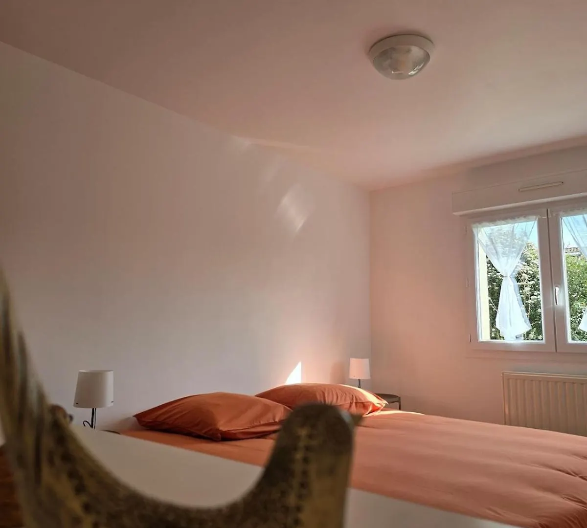 Chambres Independantes Avec Frigo, Micro-Ondes, Etc Cleon-d'Andran Holiday home
